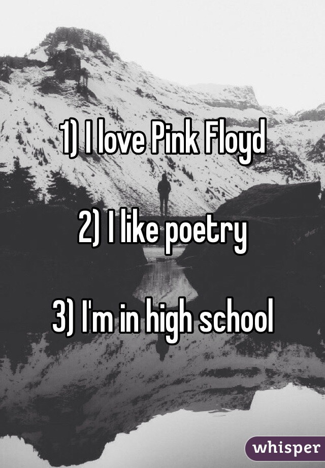 1) I love Pink Floyd

2) I like poetry 

3) I'm in high school 