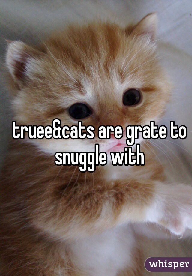 truee&cats are grate to snuggle with