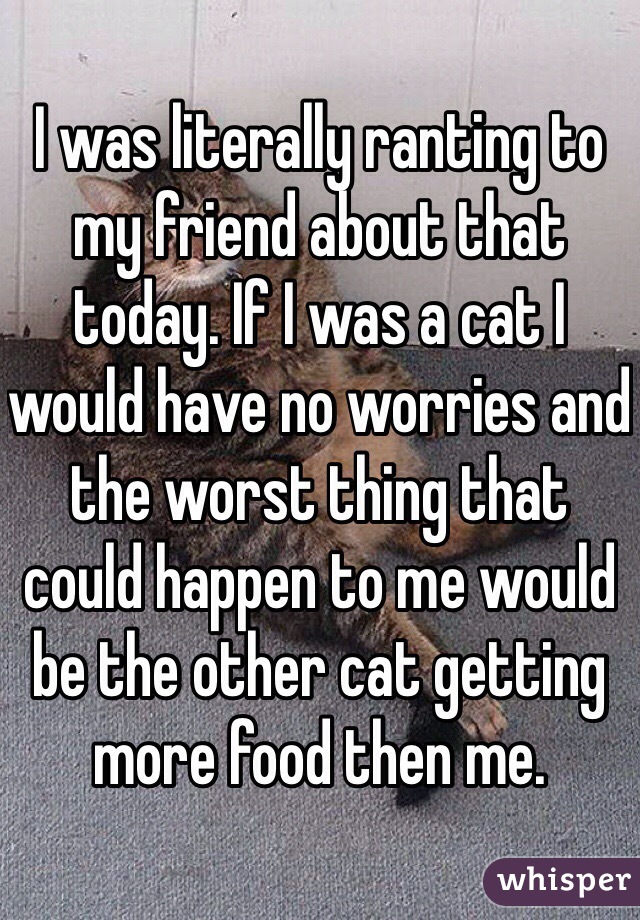 I was literally ranting to my friend about that today. If I was a cat I would have no worries and the worst thing that could happen to me would be the other cat getting more food then me.  