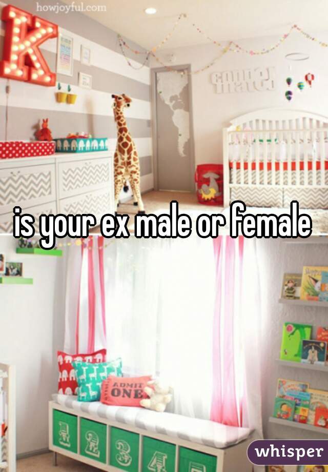 is your ex male or female