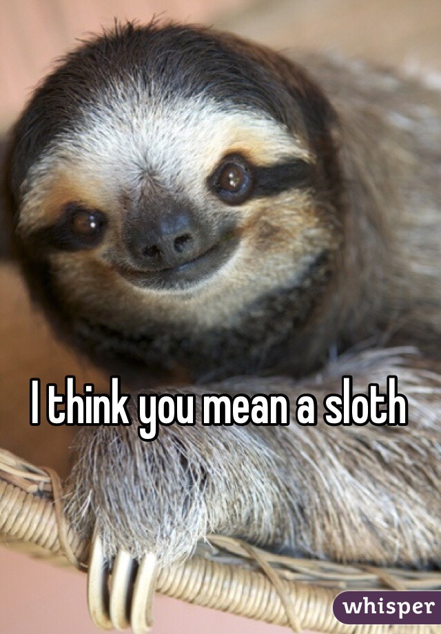 I think you mean a sloth