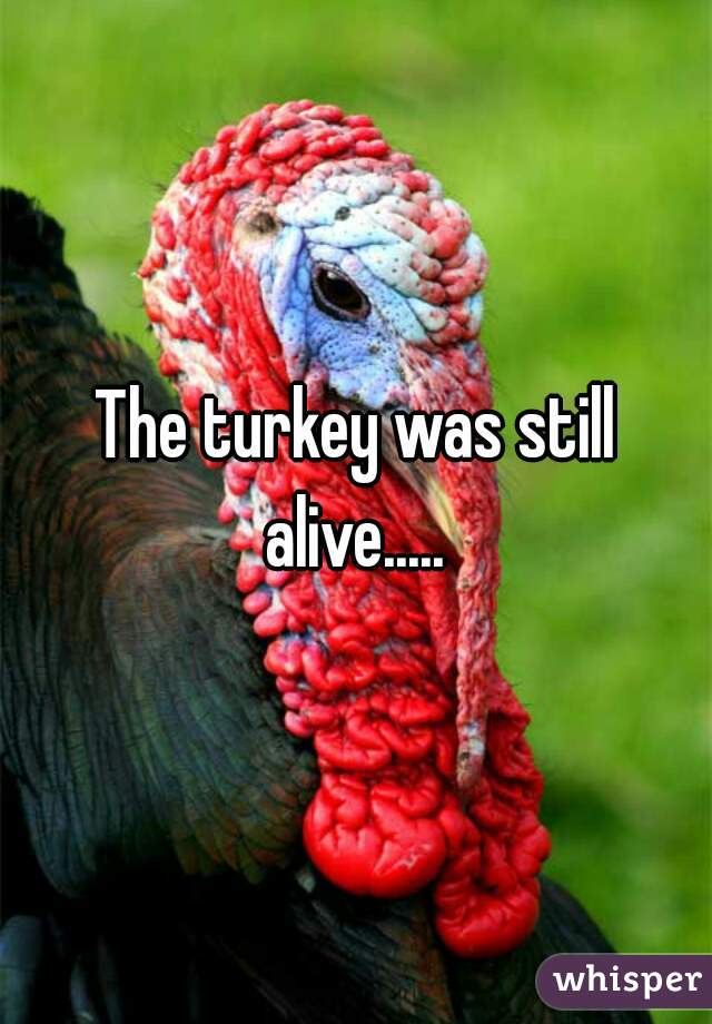 The turkey was still alive..... 