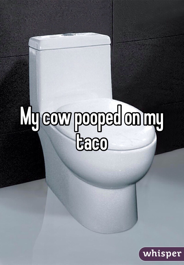 My cow pooped on my taco