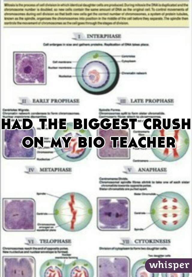 had the biggest crush on my bio teacher