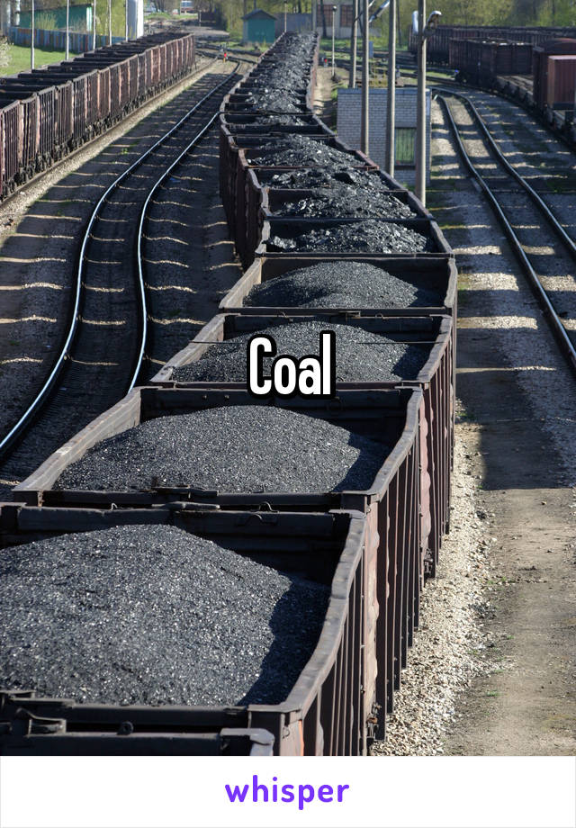 Coal
