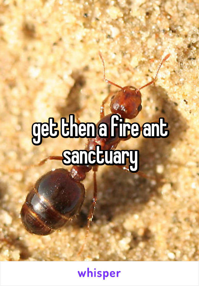 get then a fire ant sanctuary