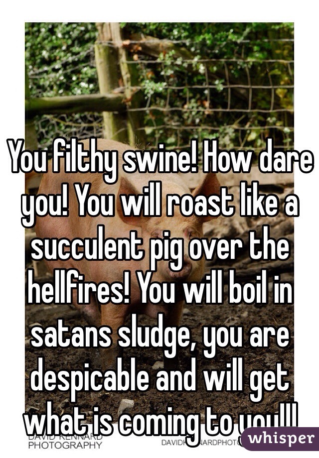You filthy swine! How dare you! You will roast like a succulent pig over the hellfires! You will boil in satans sludge, you are despicable and will get what is coming to you!!!