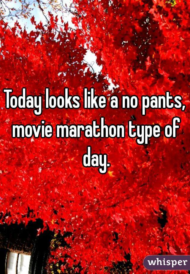 Today looks like a no pants, movie marathon type of day.