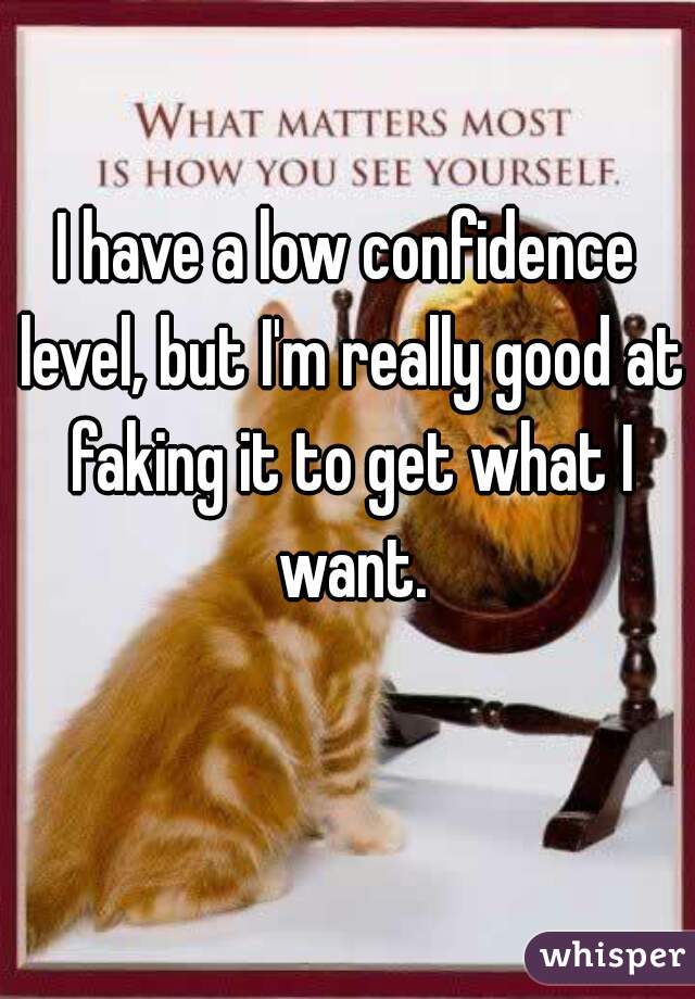 I have a low confidence level, but I'm really good at faking it to get what I want.