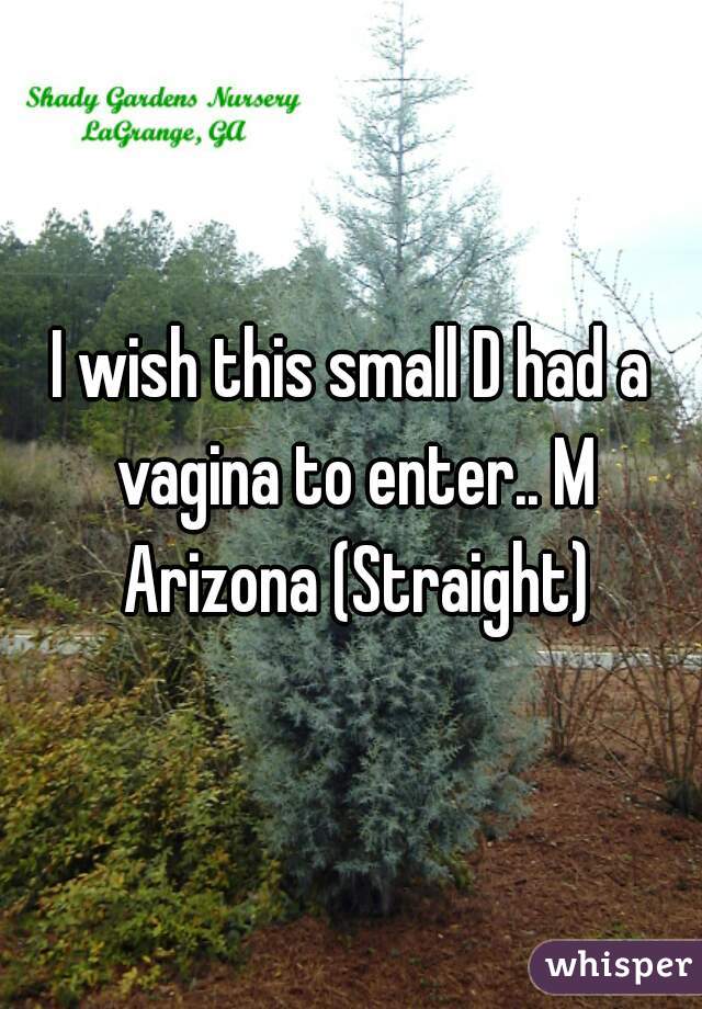 I wish this small D had a vagina to enter.. M Arizona (Straight)