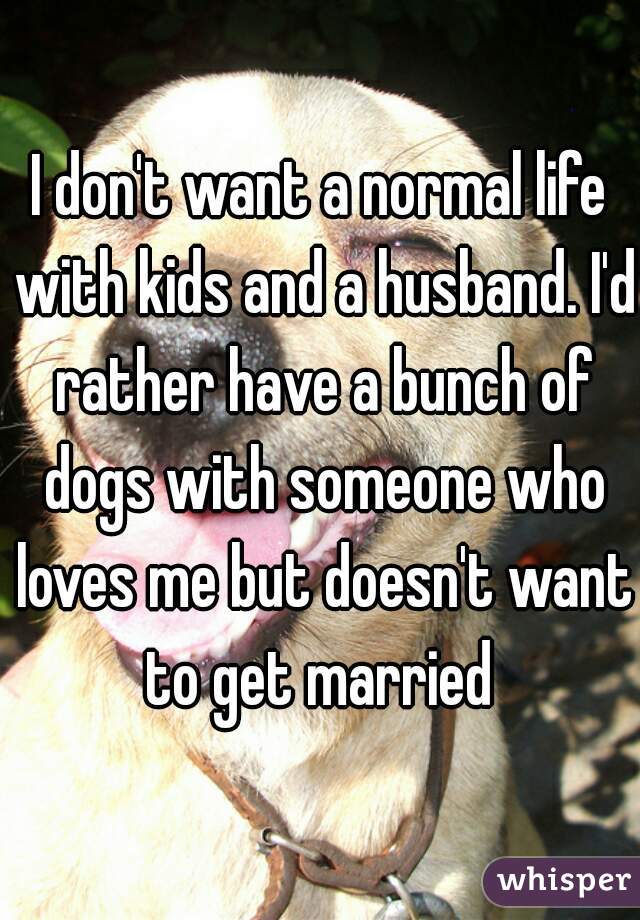 I don't want a normal life with kids and a husband. I'd rather have a bunch of dogs with someone who loves me but doesn't want to get married 
