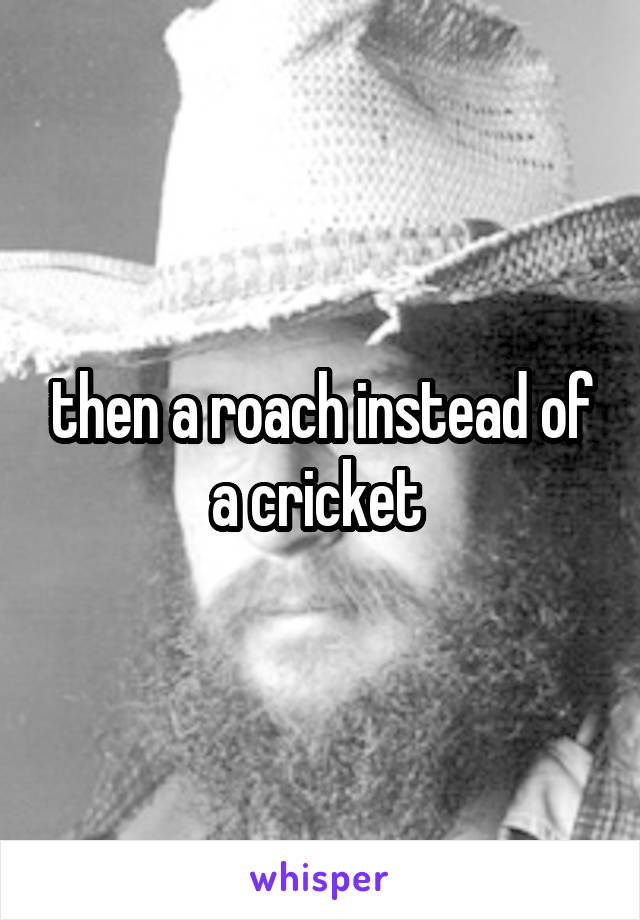 then a roach instead of a cricket 