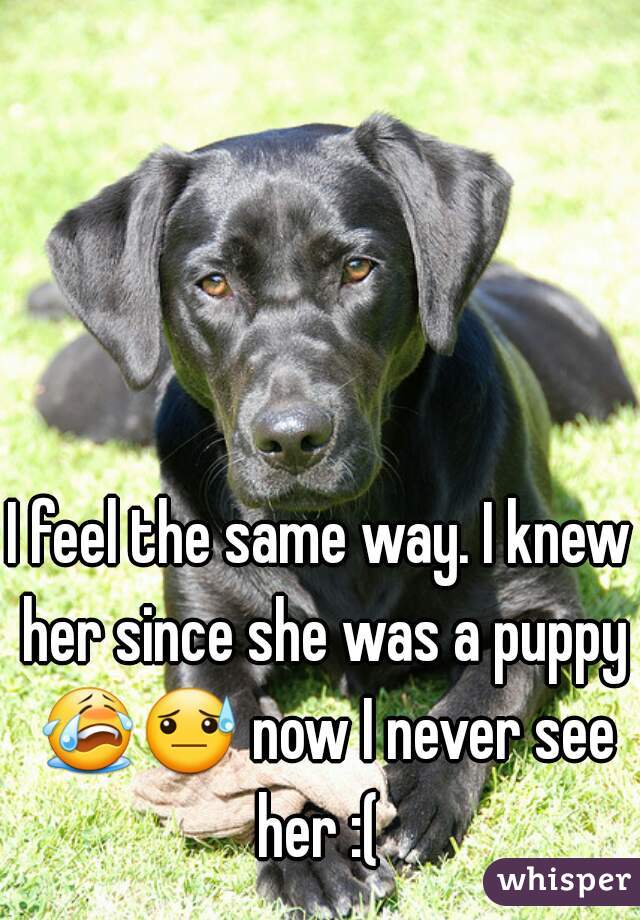 I feel the same way. I knew her since she was a puppy 😭😓 now I never see her :( 