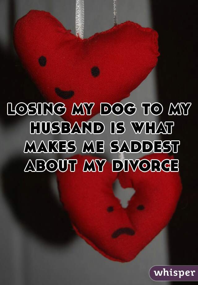 losing my dog to my husband is what makes me saddest about my divorce