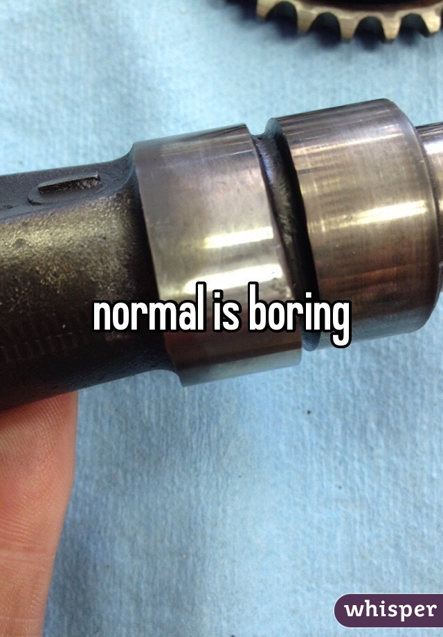 normal is boring 