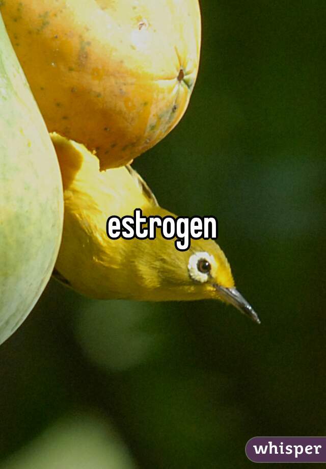 estrogen