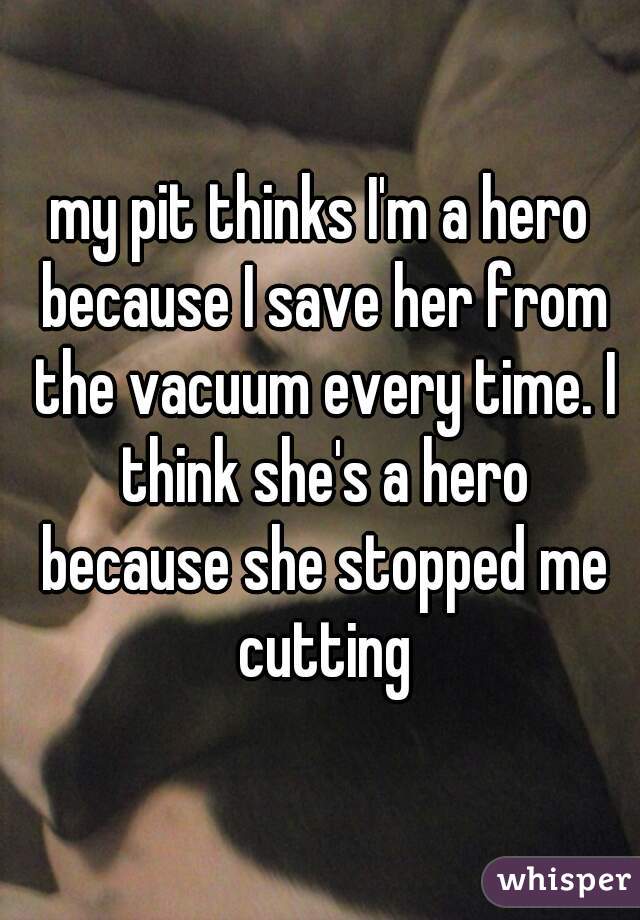 my pit thinks I'm a hero because I save her from the vacuum every time. I think she's a hero because she stopped me cutting