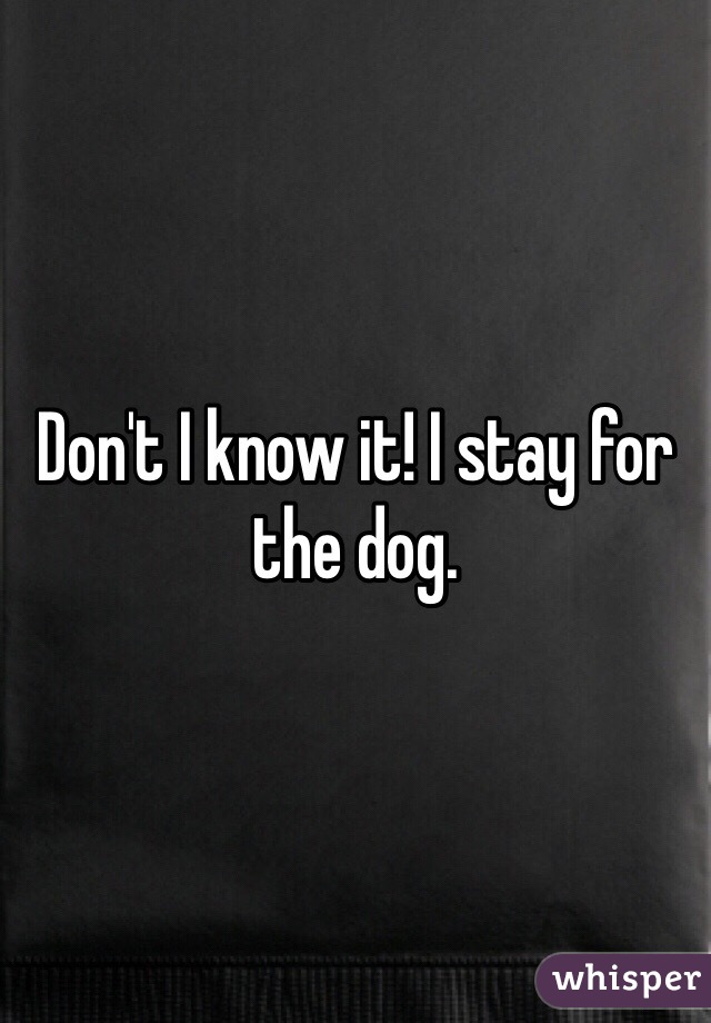 Don't I know it! I stay for the dog. 