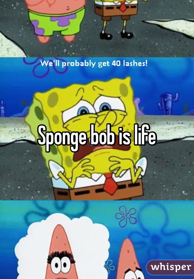 Sponge bob is life