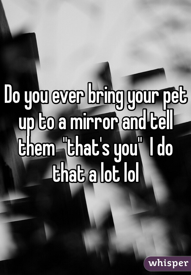 Do you ever bring your pet up to a mirror and tell them  "that's you"  I do that a lot lol