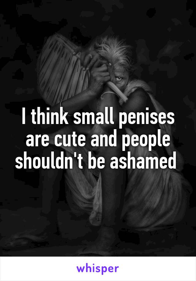 I think small penises are cute and people shouldn't be ashamed 