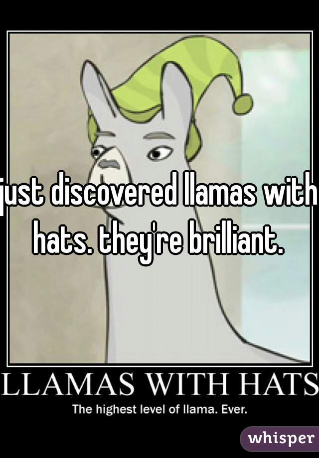 just discovered llamas with hats. they're brilliant. 
