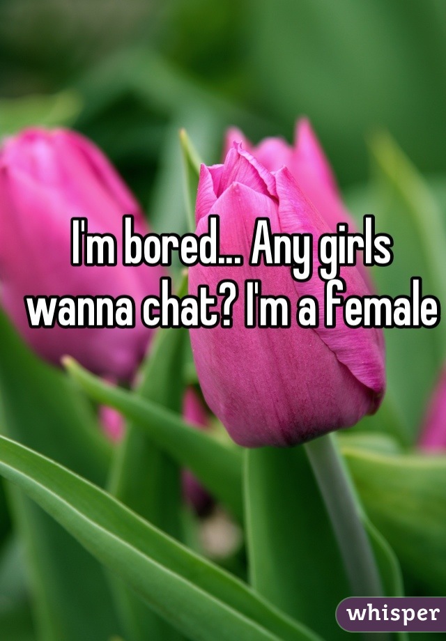 I'm bored... Any girls wanna chat? I'm a female