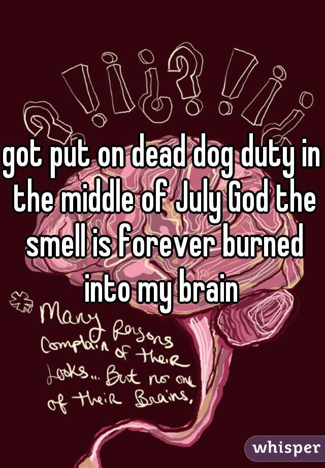 got put on dead dog duty in the middle of July God the smell is forever burned into my brain 