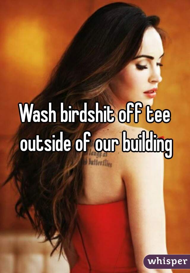Wash birdshit off tee outside of our building