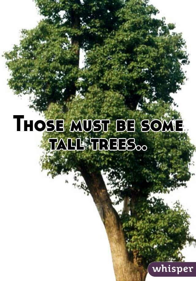 Those must be some tall trees.. 