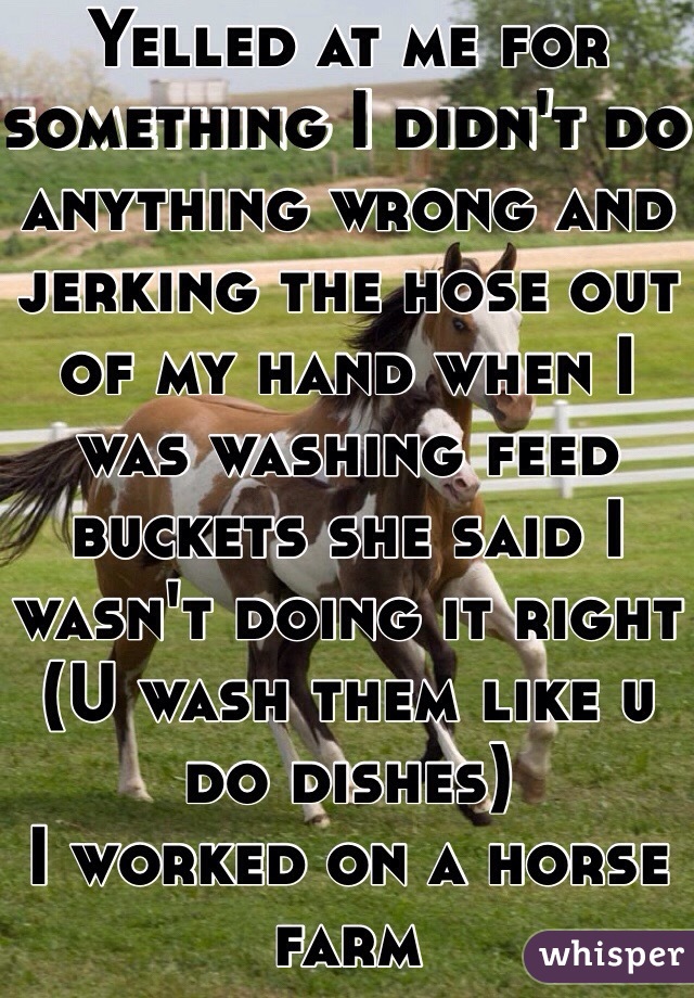 Yelled at me for something I didn't do anything wrong and jerking the hose out of my hand when I was washing feed buckets she said I wasn't doing it right
(U wash them like u do dishes)
I worked on a horse farm 