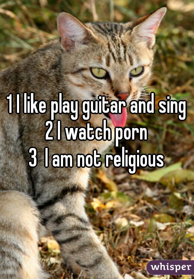 1 I like play guitar and sing
2 I watch porn
3  I am not religious