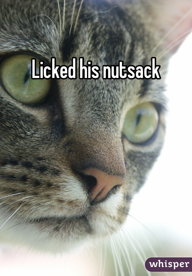 Licked his nutsack