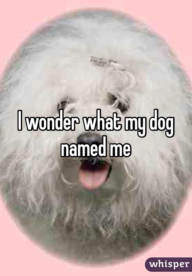 I wonder what my dog named me