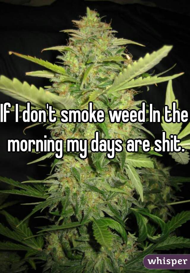 If I don't smoke weed In the morning my days are shit.