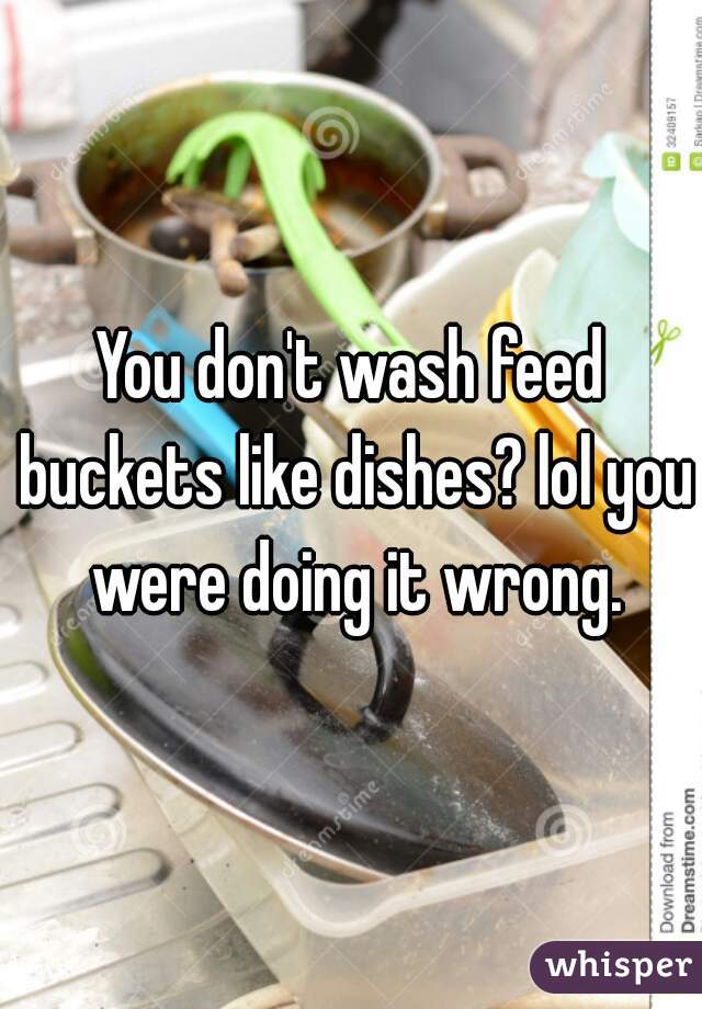 You don't wash feed buckets like dishes? lol you were doing it wrong.