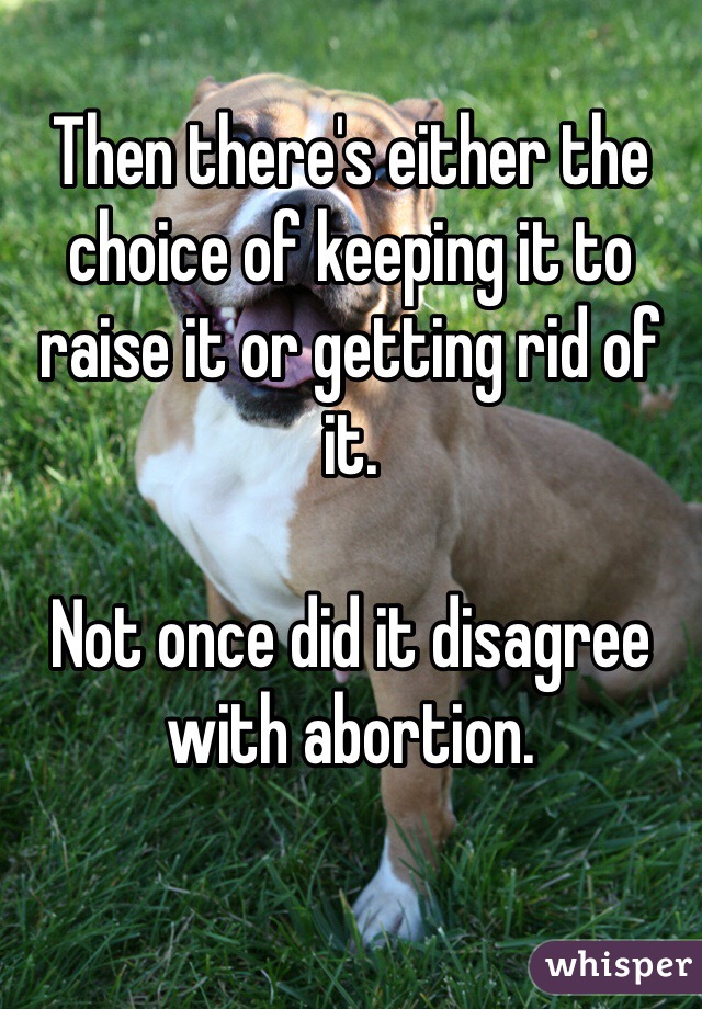 Then there's either the choice of keeping it to raise it or getting rid of it. 

Not once did it disagree with abortion. 
