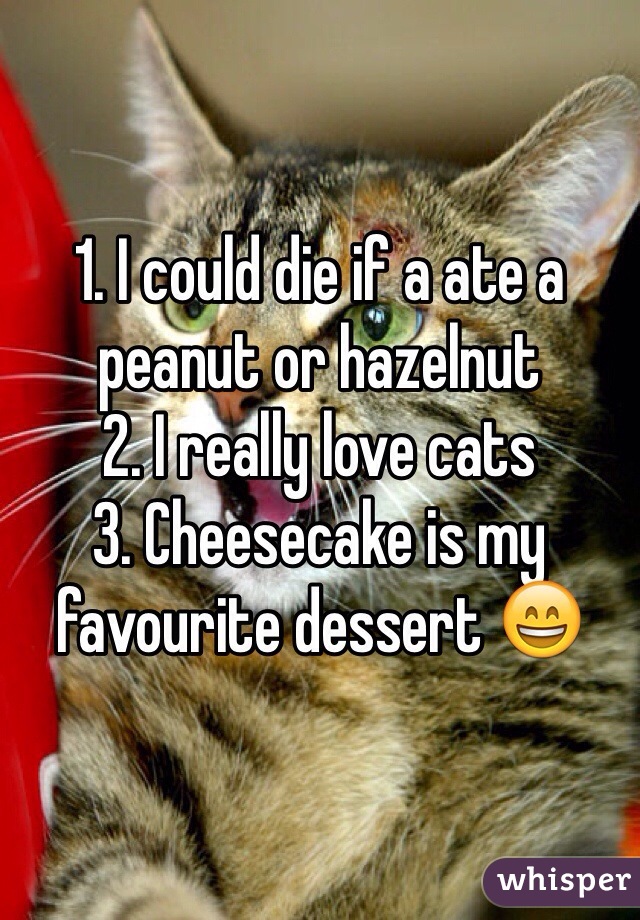 1. I could die if a ate a peanut or hazelnut
2. I really love cats
3. Cheesecake is my favourite dessert 😄