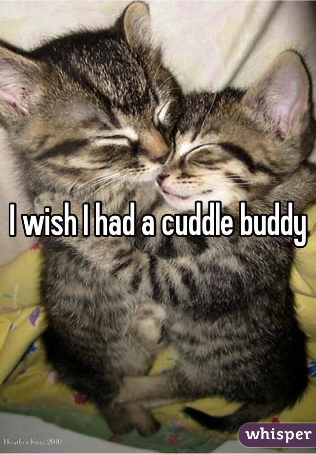 I wish I had a cuddle buddy 