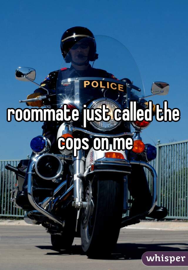 roommate just called the cops on me