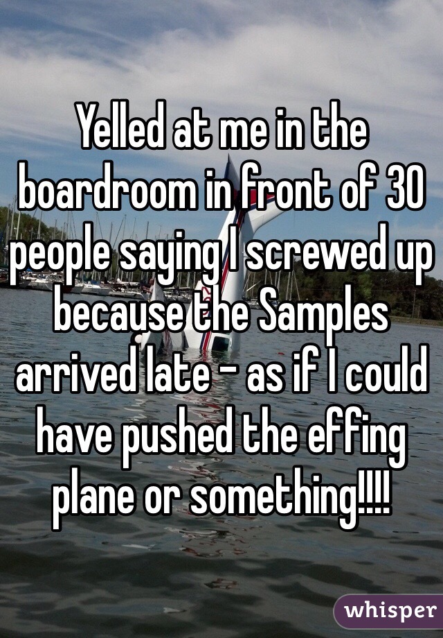 Yelled at me in the boardroom in front of 30 people saying I screwed up because the Samples arrived late - as if I could have pushed the effing plane or something!!!!