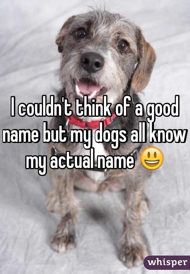 I couldn't think of a good name but my dogs all know my actual name 😃