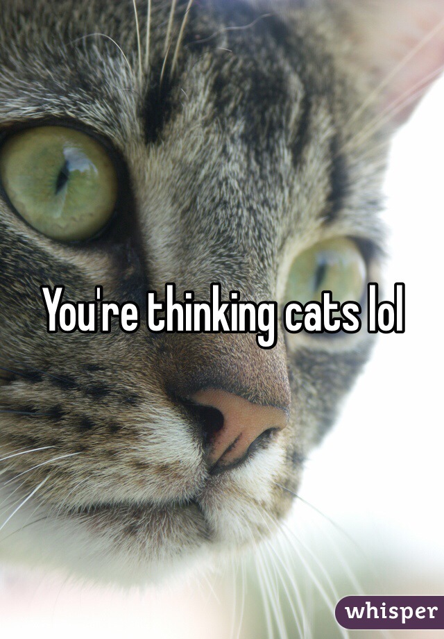 You're thinking cats lol