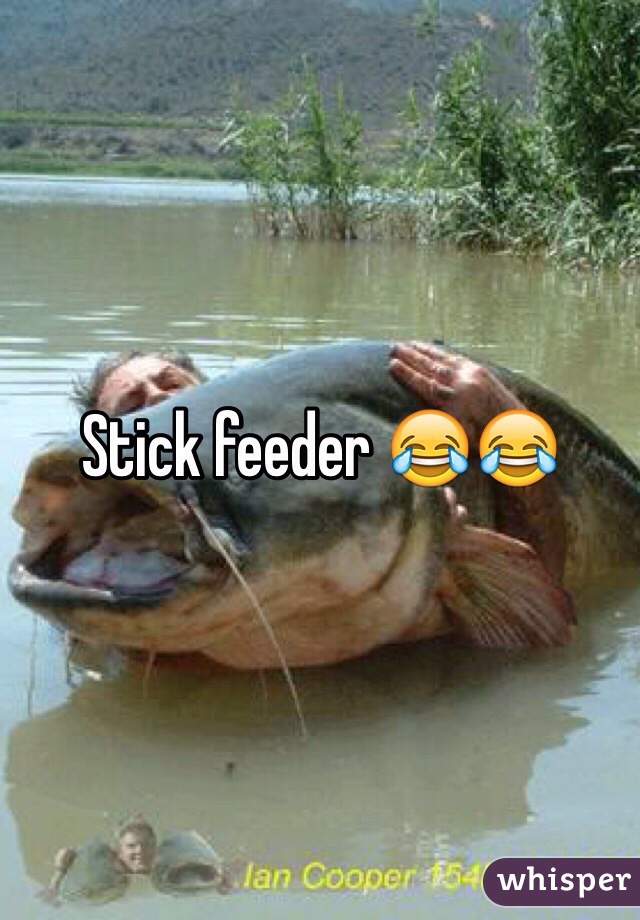 Stick feeder 😂😂