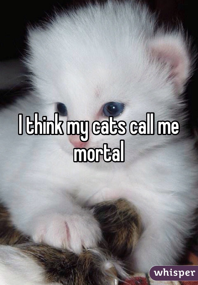I think my cats call me mortal 