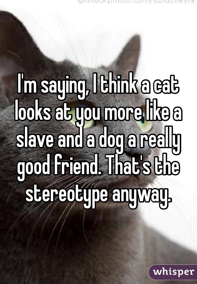 I'm saying, I think a cat looks at you more like a slave and a dog a really good friend. That's the stereotype anyway. 