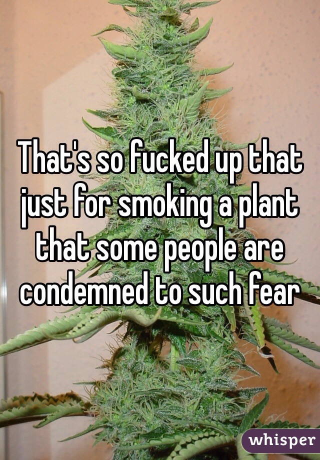 That's so fucked up that just for smoking a plant that some people are condemned to such fear 