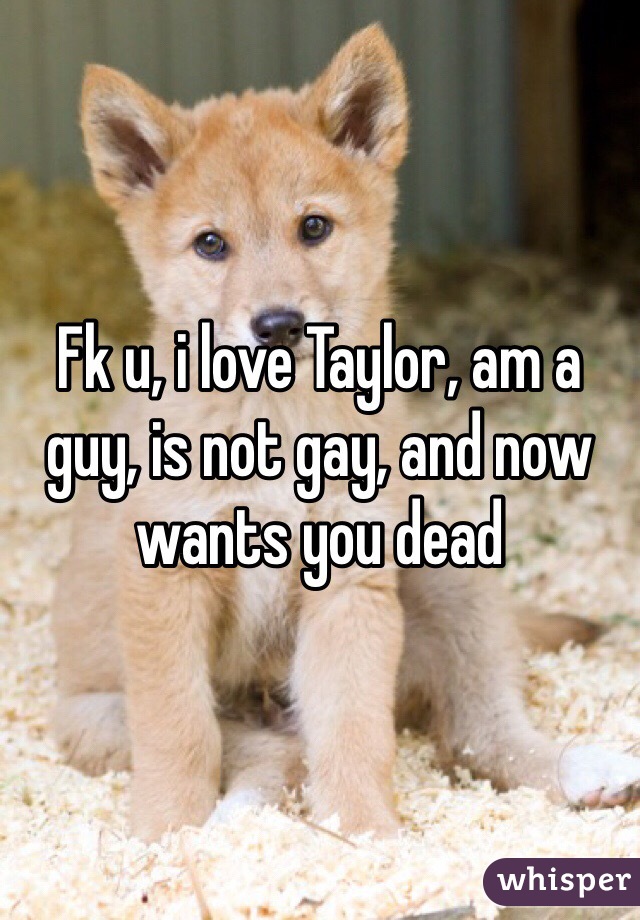 Fk u, i love Taylor, am a guy, is not gay, and now wants you dead