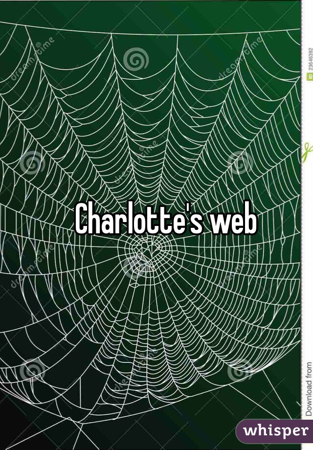 Charlotte's web