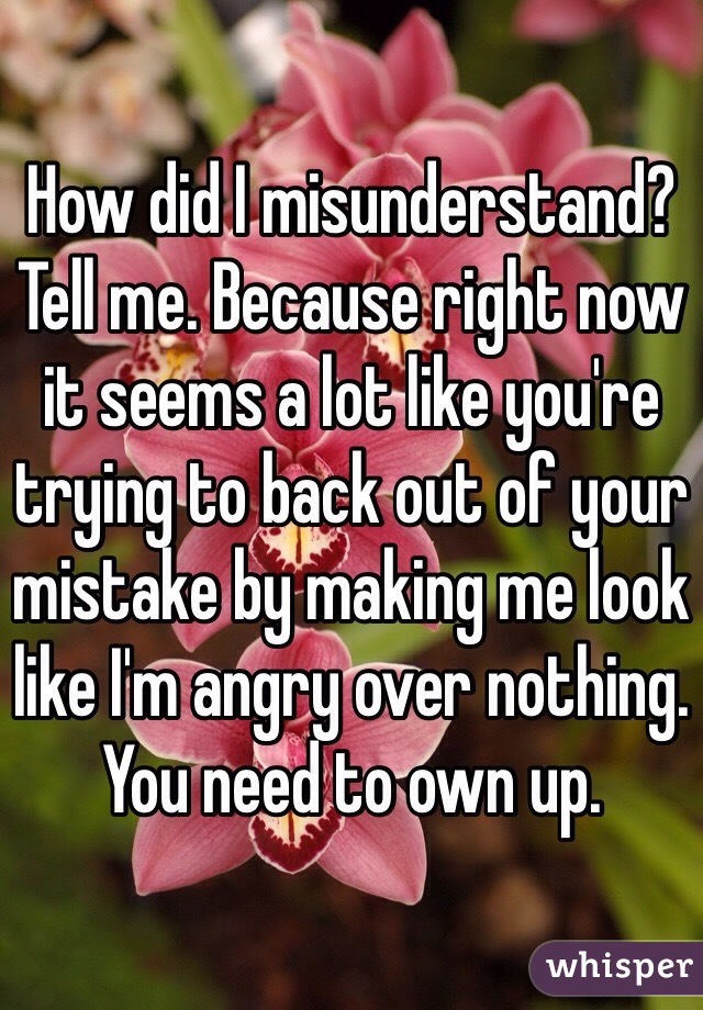 How did I misunderstand? Tell me. Because right now it seems a lot like you're trying to back out of your mistake by making me look like I'm angry over nothing. You need to own up. 